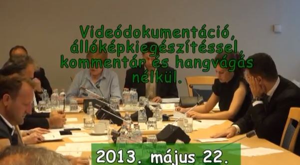 A Magyar Országgyűlés Fenntartható fejlődés bizottsága ülése, 2013. május 22-én